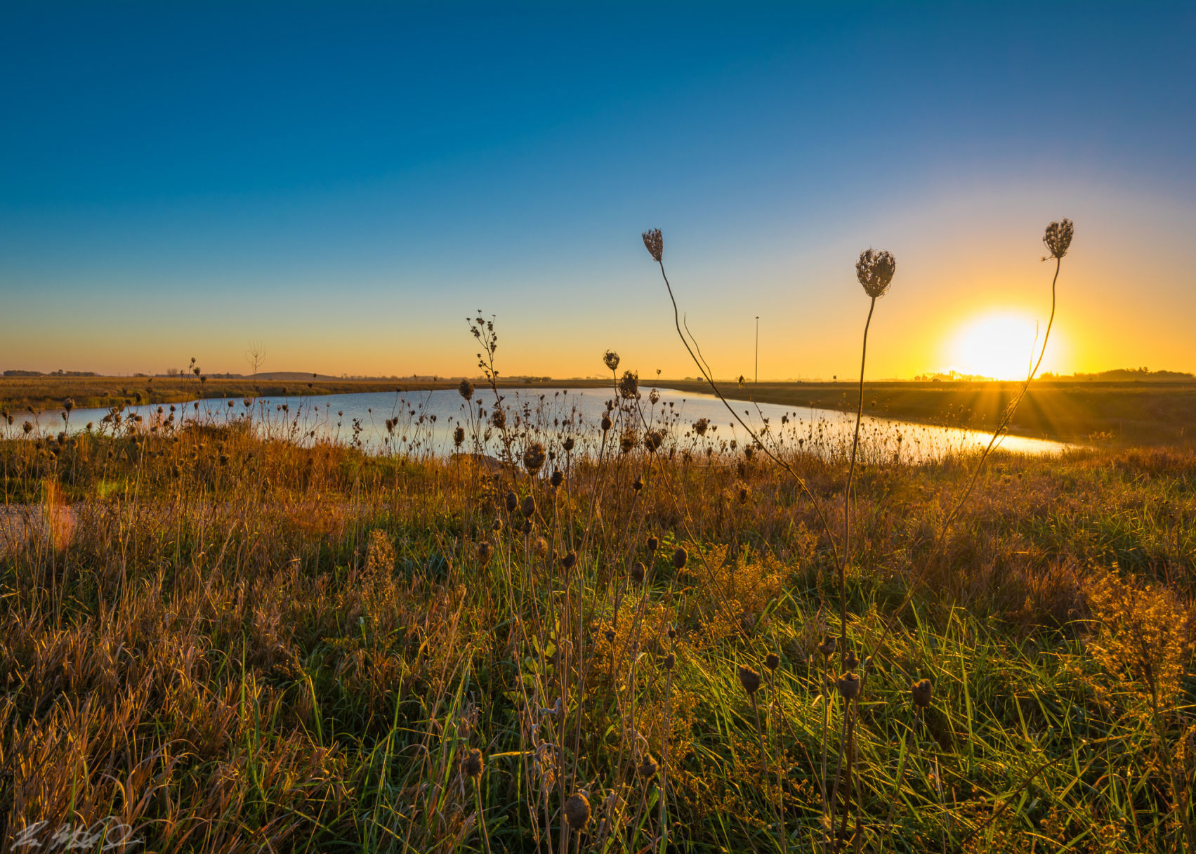 Blue Bill Wildlife Area, Clear Lake